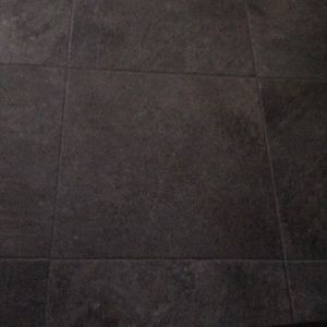 Meet your Posher, Joey